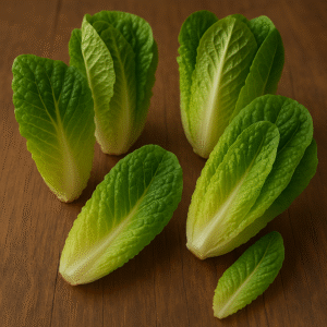 Lattuga Romana